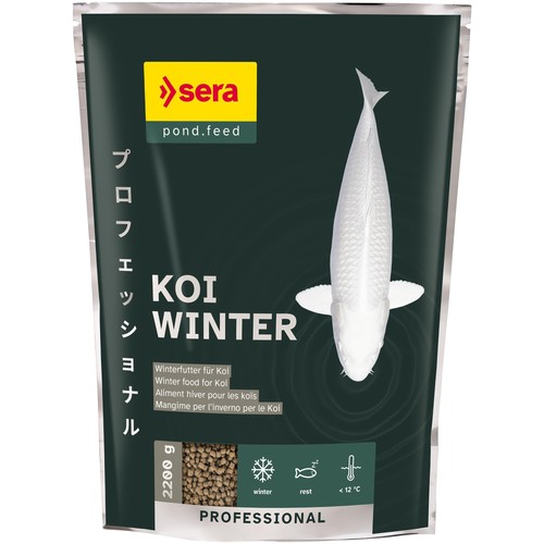 Koi professional winter - koi,