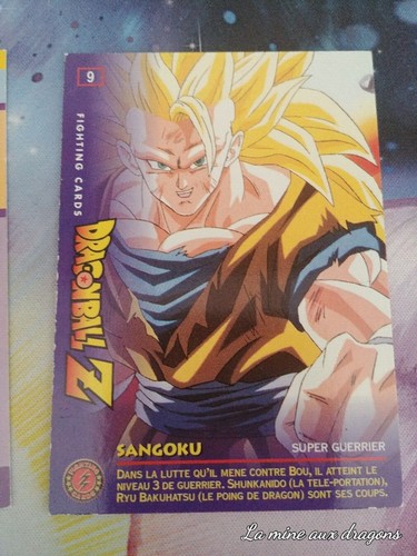 Carte dragon ball fighting - carte, z