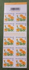 Timbres Fleurs Belgique