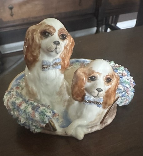 Cavalier king charles - cavalier, spaniel