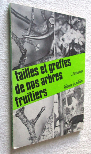 Tailles greffes nos - et,