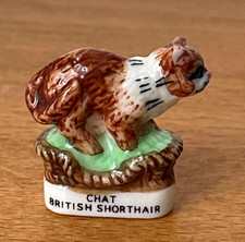 BRITISH SHORTHAIR CAT BEAN ⭐ Galette des rois French charm