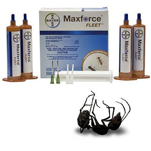 Maxforce bayer ant killer - maxforce, --