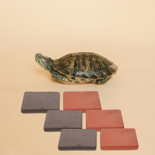 Pcs brique de tortue - de,