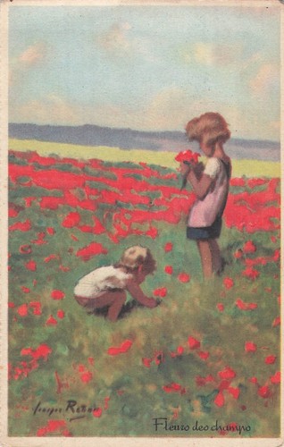 Illustree signee fleurs des - illustree,