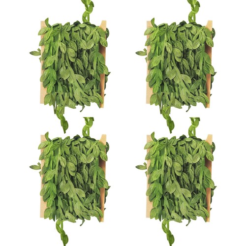 Rouleaux ruban vigne - rouleaux,