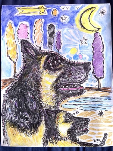 Dessin chien bergers allemand - dessin,