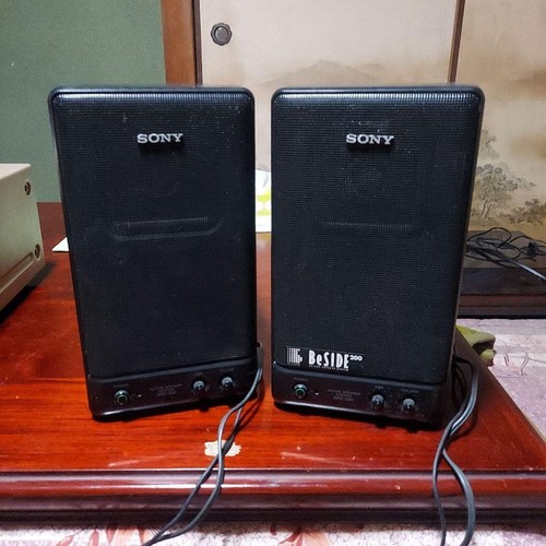 Sony srs 200 active - srs-200,