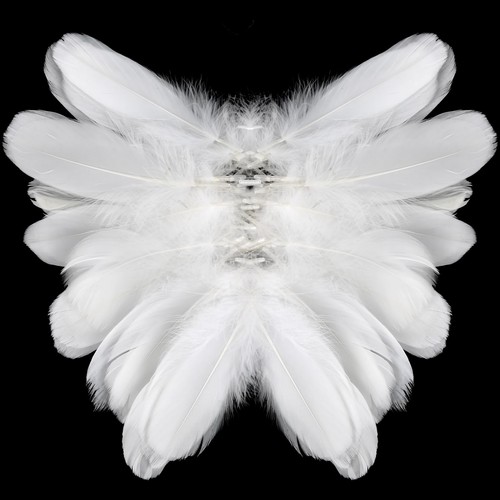 400 pièces plumes - plumes, loisirs
