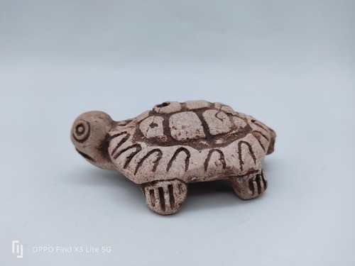 Tortue musicale terre - en, cuite