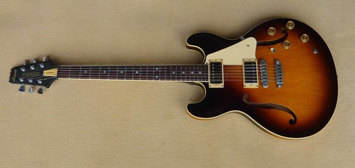Guitare aria pro - pro, ii