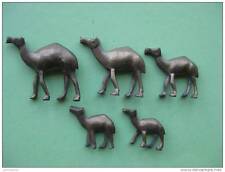 5 camel caravan 