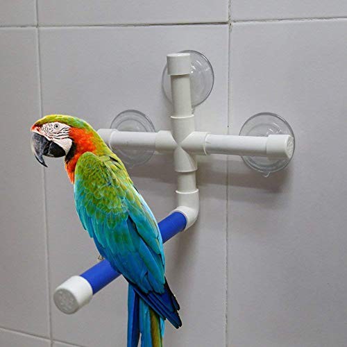 Magt perchoir perroquet douche - perroquet,