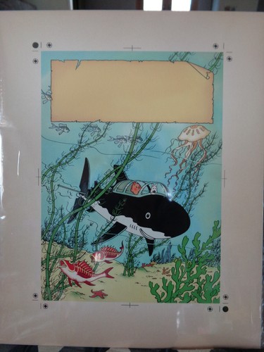 Planche tintin mise couleur - planche,