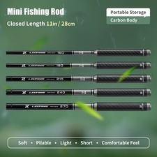 Mini canne à pêche portable