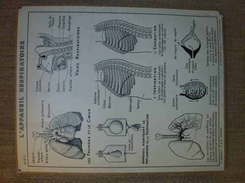 Ancienne carte affiche - , planche
