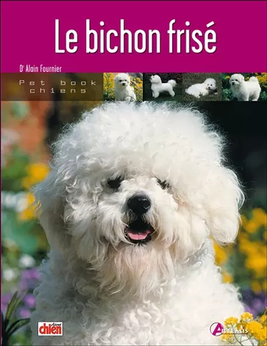 Bichon frisé alain - le,