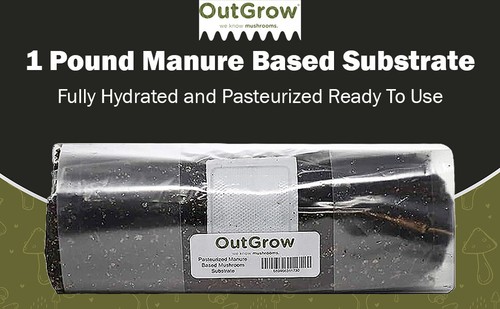 Manure based mushroom - based,