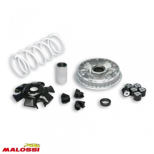 Variateur malossi pour - variateur,