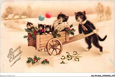 AILP9-0923 - CAT - the PITTUIS stroller