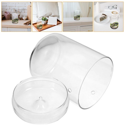Bouteille paysage terrarium - de,