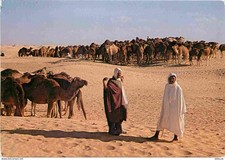 Carte Postale - Animaux -