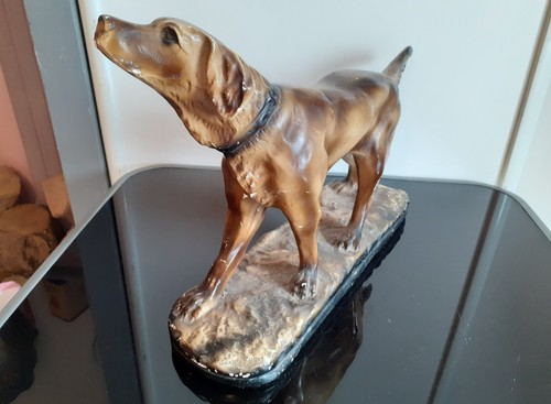 Chien chasse platre - chien,