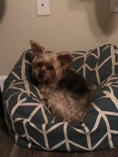 Pouf
