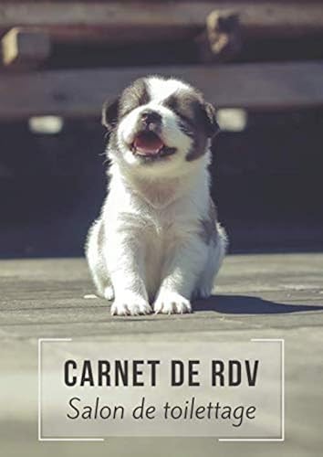 Carnet rdv salon de - carnet,