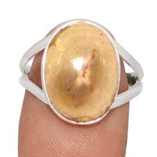 Natural Petrified Wood (Araucaria) Navajo Country 925 Silver Ring s.8.5 CR62877