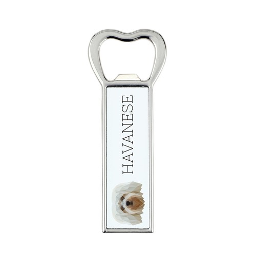 Bichon havanais ouvre boîte - bichon,