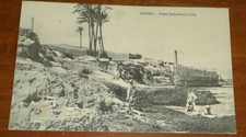 TRIPOLI - hydraulic alpha press