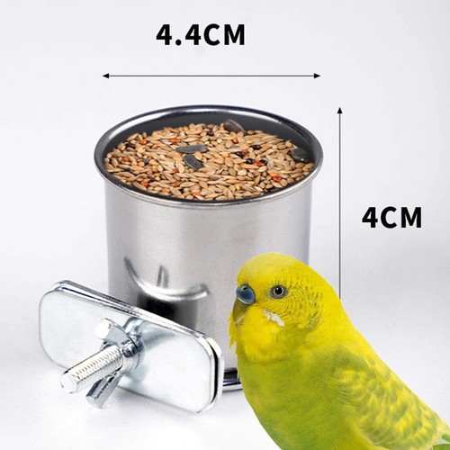 Mangeoire oiseaux bol - mangeoire,