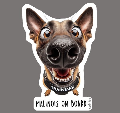 Stickers malinois - stickers,