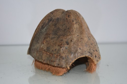 Vivarium 100 naturel - naturel, de