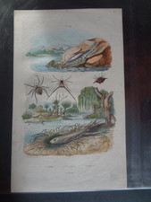 Gravure ancienne XIX 