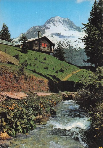 Savoyarde aiguille verte - 74,