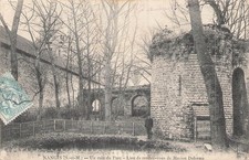 77 nangis Un coin du parc 955