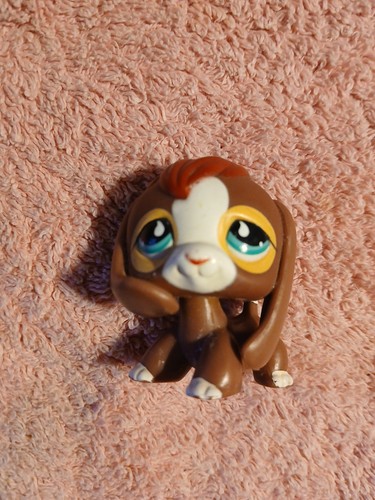 Authentic lps petshop - lps, 849
