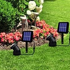 Lumi��res d'��tang