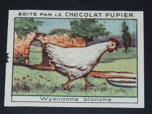 Chromo chocolat pupier 1930 - chocolat,