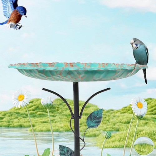 Mangeoire oiseaux avec - oiseaux,