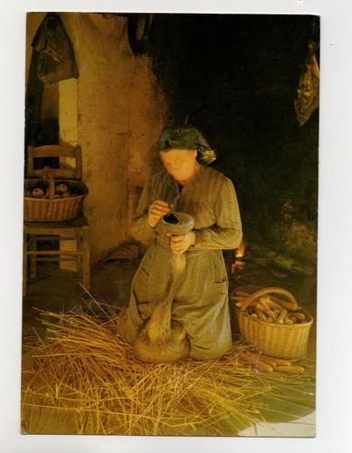 Périgord gaveuse d oie - -, d'oie