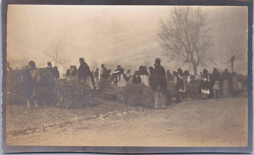 Monténégro cetinje marché - monténégro,, cetinje,