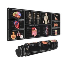 Anatomie médicale