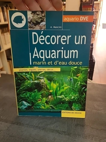 Décorer aquarium marin - décorer, un