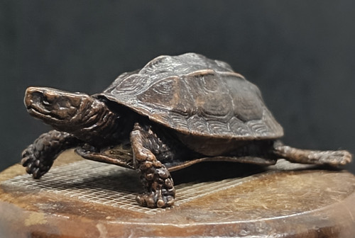 Ancienne sculpture tortue - , en