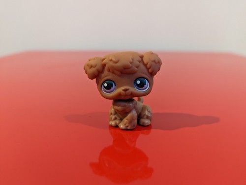 Littlest petshop chien bichon - littlest, "chien