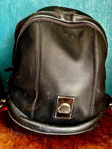 Sac dos photo cuir delsey - a,