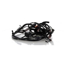 Faisceau électrique -